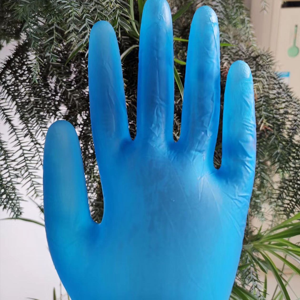 blue vinyl gloves